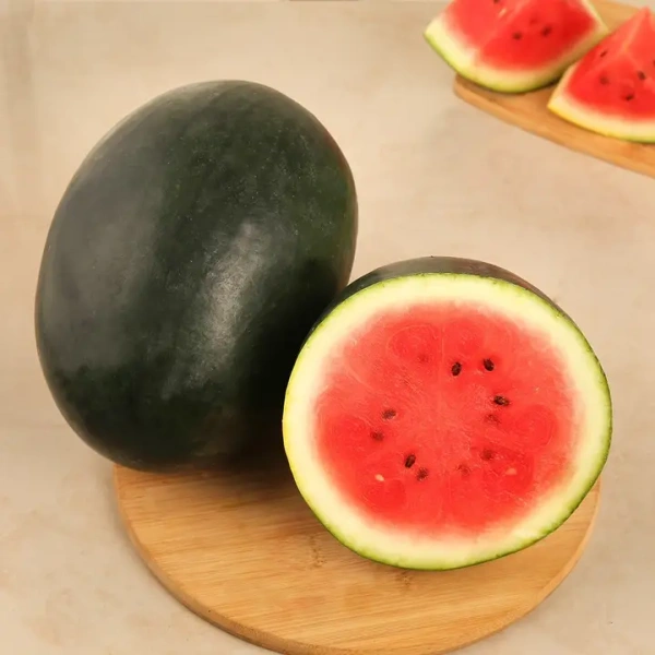 Watermelon Kiran (Tarbuj) - 1.5 - 1.7 kg