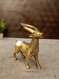 DecorsOne Brass Deer Plain Finish 5"