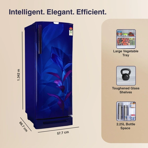 Godrej 202 L 5 Star Advanced Inverter, Jumbo Vegetable Tray Direct Cool Single Door Refrigerator With Base Drawer - 5 STAR, 202L