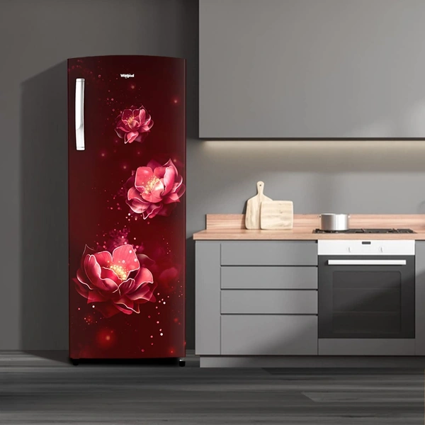 Whirpool Whirlpool 207 L 5 Star Icemagic Pro Inverter Direct-Cool Single Door Refrigerator  - 5 Star, 207L