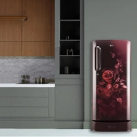 LG 185 L 5 Star Inverter Direct-Cool Single Door Refrigerator - Next 2 Day, 5 Star, 185L