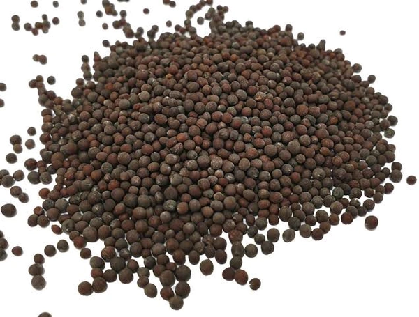 Mustard / Sarson Black/Brown Loose 100g