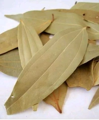 Bay Leaf / Tej Patta 25g
