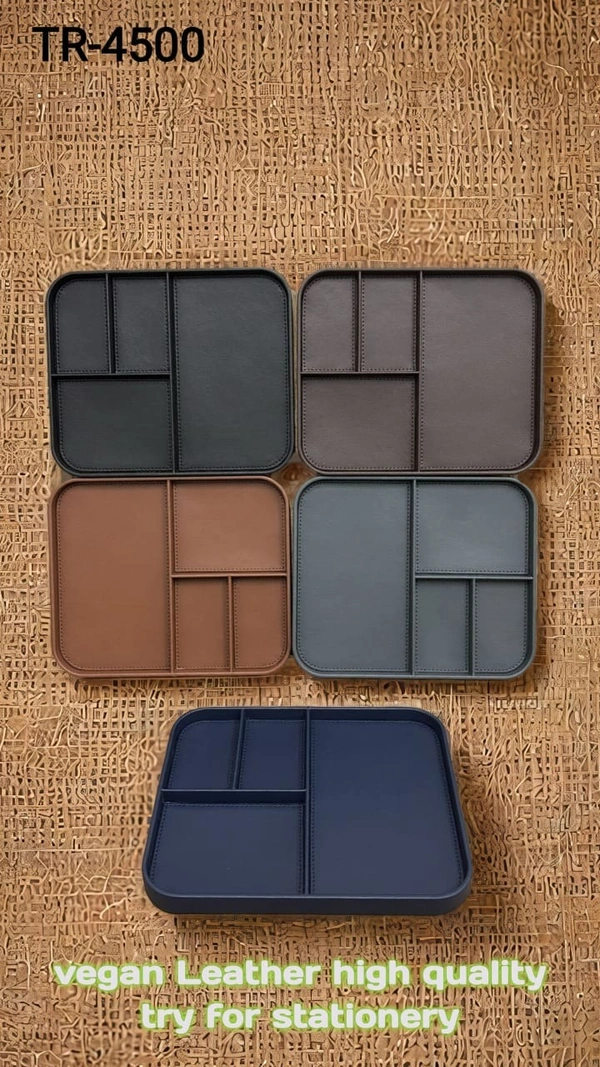 TR-4500 Vegan Leather Valet Try 