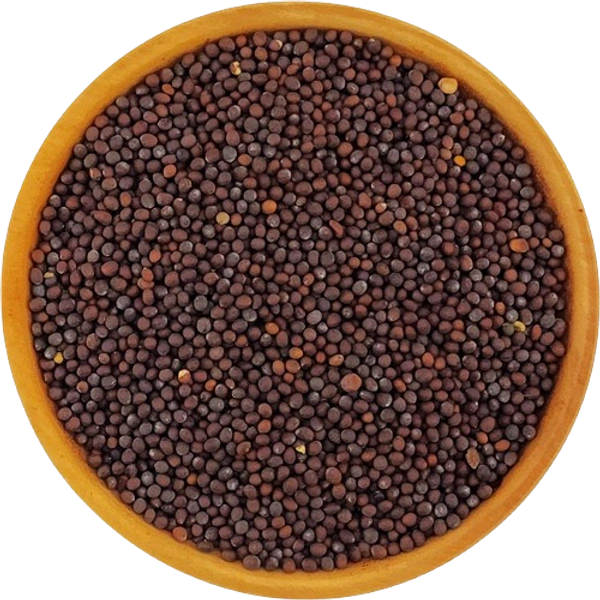 SAV Mustard Seed,கடுகு - 1 kg