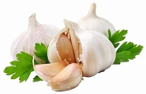 Garlic First Quality, பூண்டு