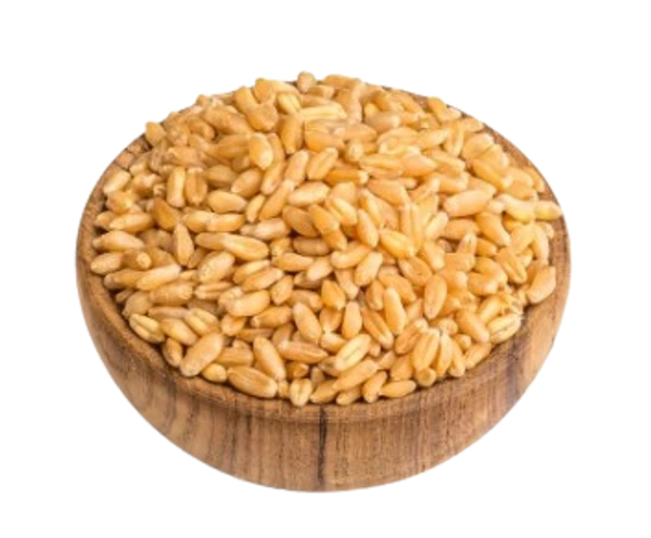 SAV Whole Wheat, முழு கோதுமை - 1 kg