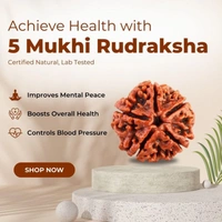 5 Mukhi Rudraksha Pendant (Nepali) - 5 मुखी रुद्राक्ष