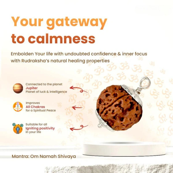 5 Mukhi Rudraksha Pendant (Nepali) - 5 मुखी रुद्राक्ष