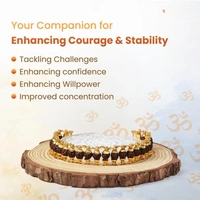 Premium Authentic 5 Mukhi Gold Plated Rudraksha Bracelet For Men 