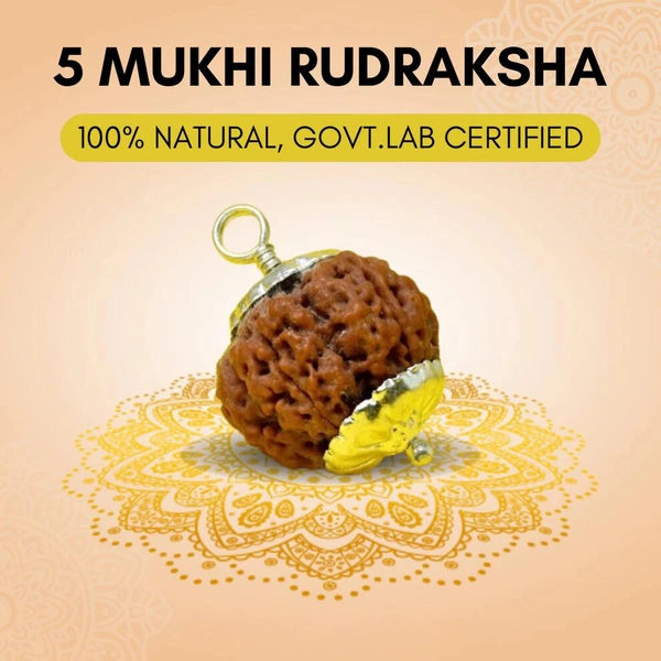 5 Mukhi Rudraksha Pendant (Nepali) - 5 मुखी रुद्राक्ष