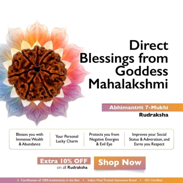 7 Mukhi Nepali Rudraksha - Saat Mukhi Rudraksha - सात मुखी रुद्राक्ष - Without Silver Pendant