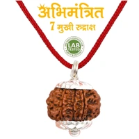 7 Mukhi Nepali Rudraksha - Saat Mukhi Rudraksha - सात मुखी रुद्राक्ष - Without Silver Pendant