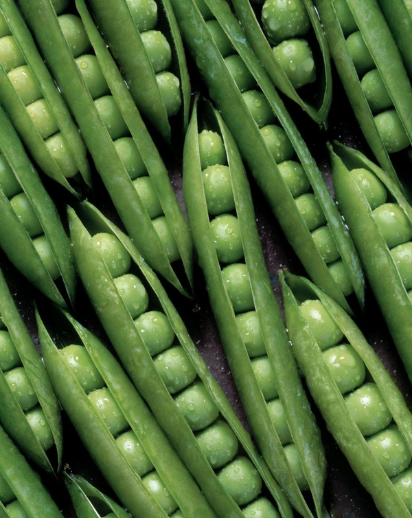 Green Peas (Matar)