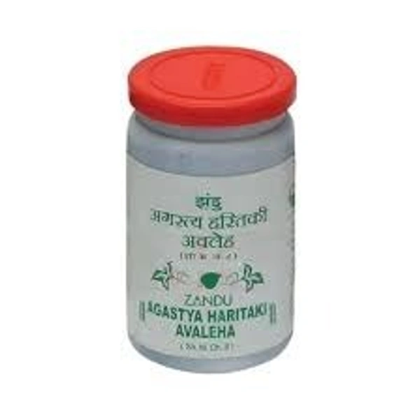 Znadu Agastyaharitaki Avaleha 100g  - 5 x 100g
