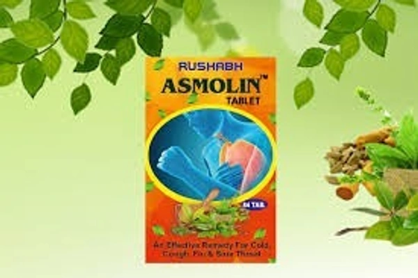 Rushabh Medicines Rushabh  Asmolin 84 Tablets - 6 x 84 Tablets