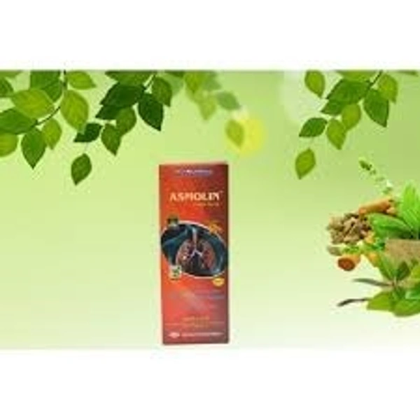 Rushabh Medicines Rushabh Asmolin Syrup 200ml - 6 x 200ml