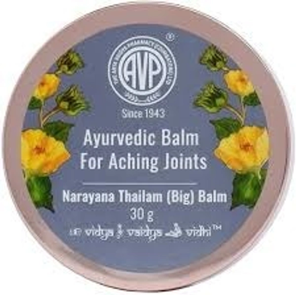 Arya Vaidya Pharmacy AVP Narayana Thailam Pain Relief Balm 30g  - 2 x 30g