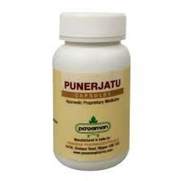 Pavaman Pharmaceuticals Pavaman  Punerjatu 100 Capsules - 5 x 100 Capsules