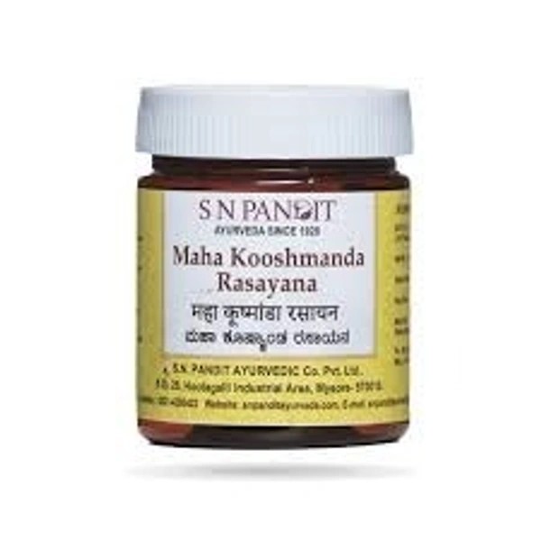 S N Pandit Kooshmanda Rasayanam 200g - 3 x 200g