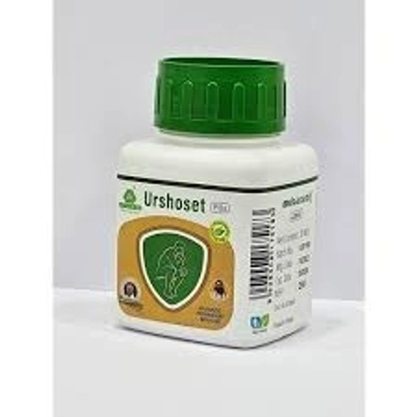 Shankar Pharmacy Urshoset 10 Tablets - 6 x 10 Tablets