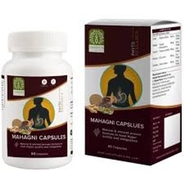 Vasishta Pharmaceuticals Mahagni 60 Capsules  - 3 x 60 Capsules