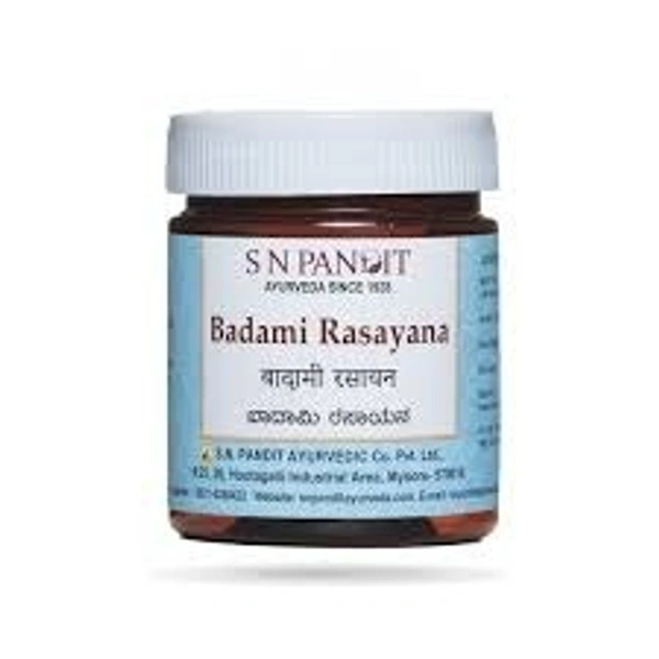S N Pandit Badami Rasayana 400g - 3 x 400g