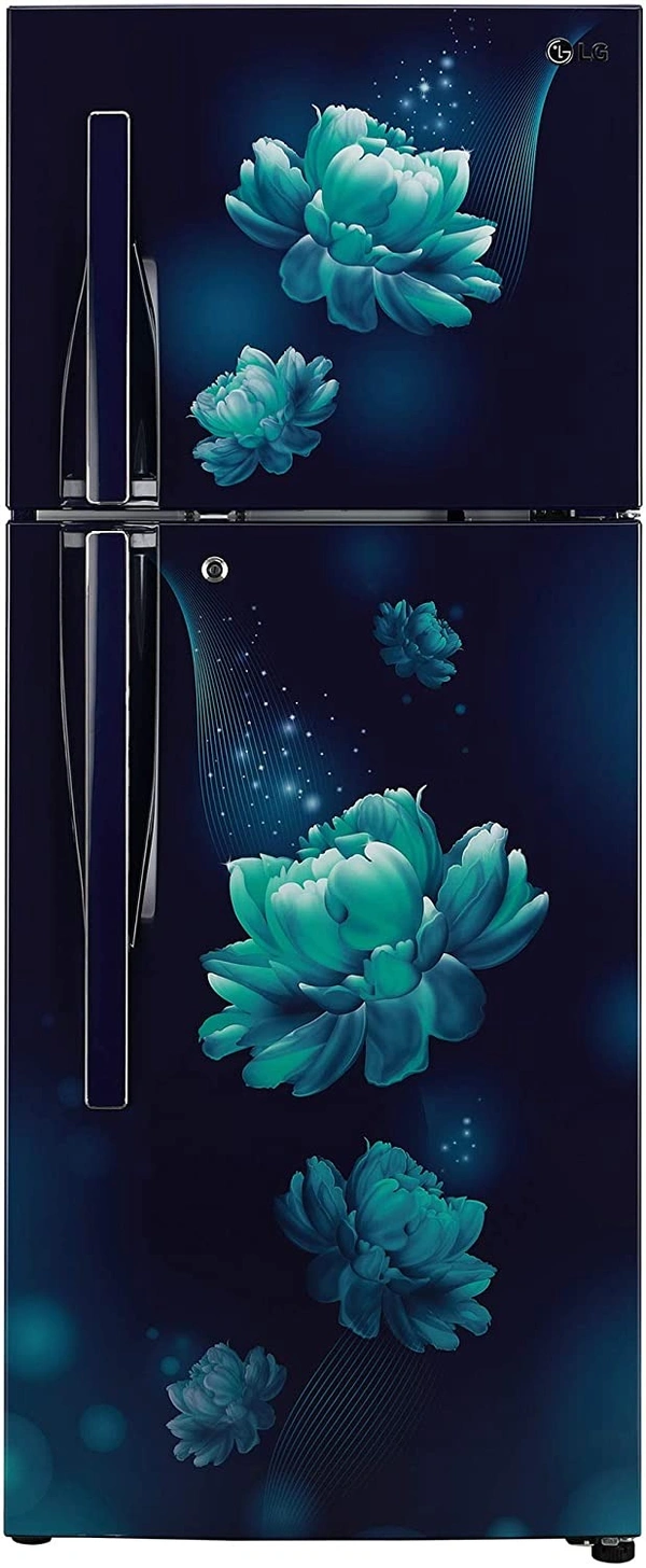 LG 260L 3 Star Smart Inverter Frost-Free Double Door Refrigerator (GL-T292RBCX, Blue Charm, Convertible)