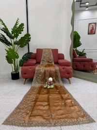 Beautiful Designer Saree Burberry Silk Fabric