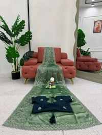 Beautiful Designer Saree Burberry Silk Fabric