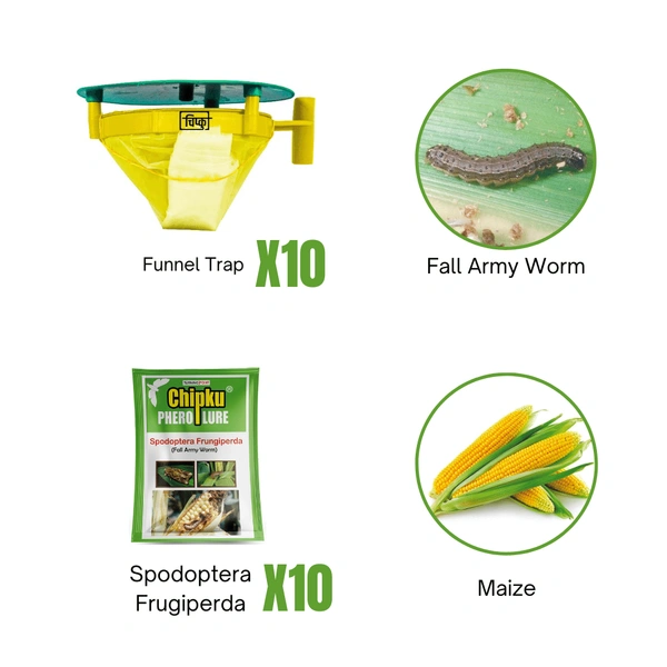 Fall Army Worm (Maize)