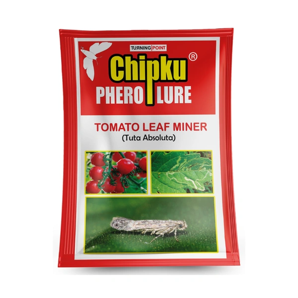 Lure : Tuta absoluta (10 Pcs)