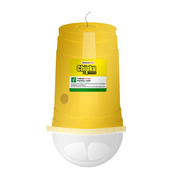 Chipku Trap : Glass Trap (50 Pcs)