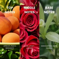 Royal Mirage Rose Perfumed Talc Powder-  250gm