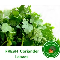  Coriander Leaves - 100g