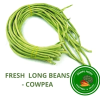 Beans - Cowpea  - 1kg