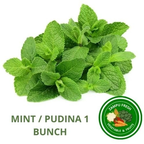 Mint / Pudina 1 Bunch