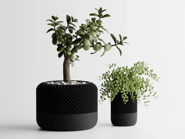 Modern Apple Home Pot