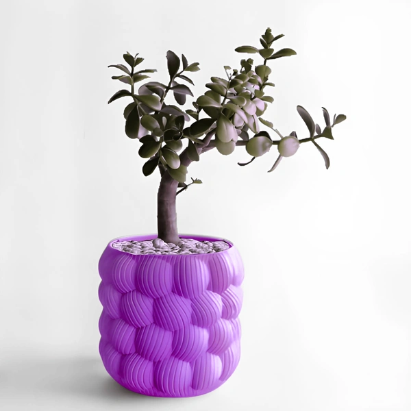 Wall Planter 1.11 (Bubble Style)