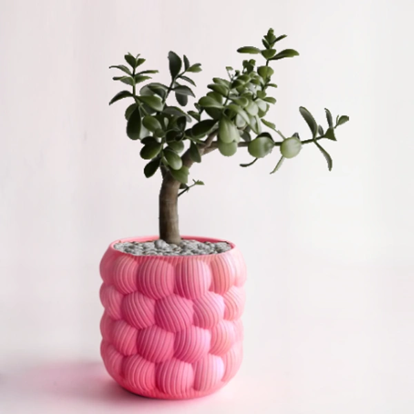 Wall Planter 1.11 (Bubble Style)