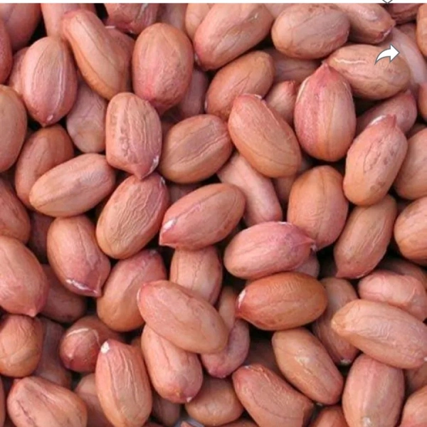 Loose Mumfali Dana 1 Kg - Web Orange