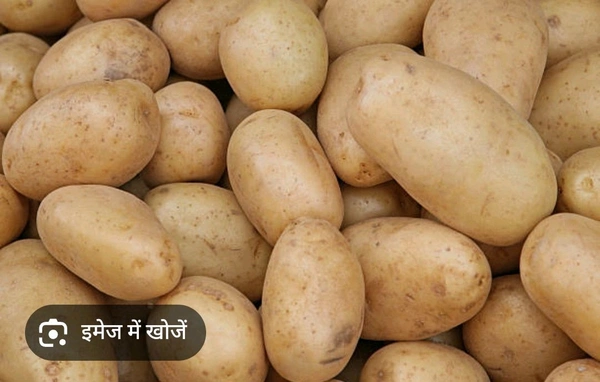 New Organic White Fresh  Potatoes . - Web Orange, Next Day Delivery, 1 kilogram