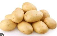 New Organic White Fresh  Potatoes . - Web Orange, Next Day Delivery, 1 kilogram