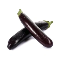Baingan Organic Fresh Brinjal (बैंगन)# 500 Grams - Purple, 500 Grams
