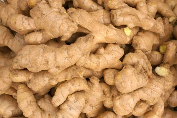 Adrak  Organic Ginger(अदरक) #250Grams - 250 Grams