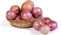 Fresh Onion Kg|प्याज #1 किलोग्राम  - Web Orange
