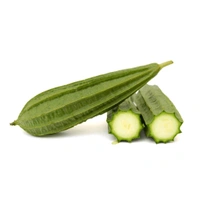  Fresh Green Satputia(ridge gourd)#1 Kg|हरा सरपुतिया #1 किलो  - Green, 1 Kilograms