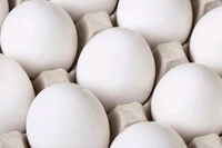 Fresh Chicken Egges 🥚 1 Piece