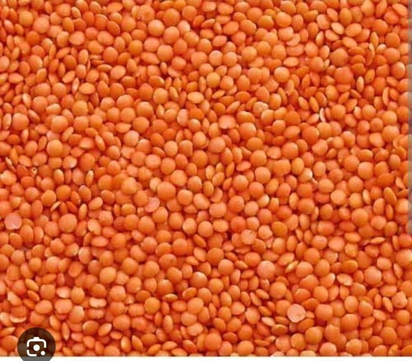 Masoor Dal 500 Gm Pat