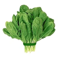 Fresh Palak (Spinach) Leaves 1kilogram - 1 Kg